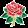 Lancashire